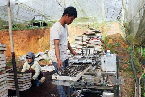 Giàu lên khi vào hợp tác xã 